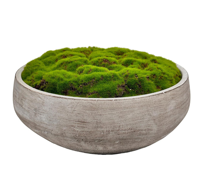 Base Decorativa Con Musgo