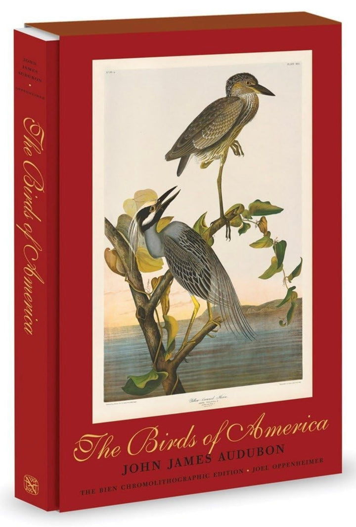 Libro The Birds Of América