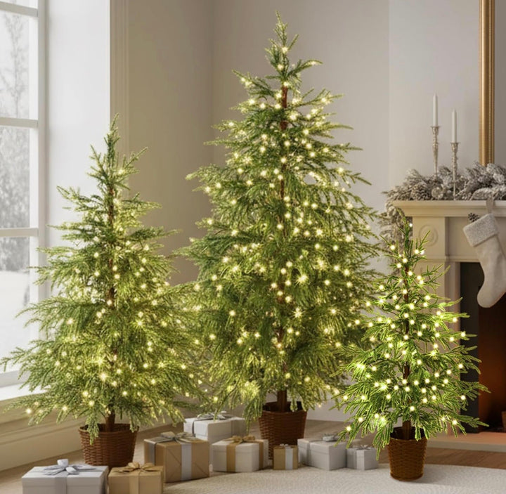 Set De 3 Árboles De Navidad Norfolk