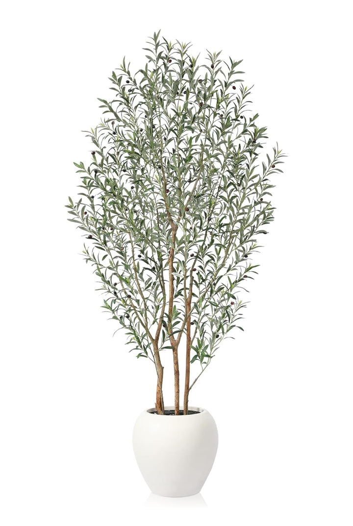 Árbol De Olivo Con Maceta Bold 243 CMS