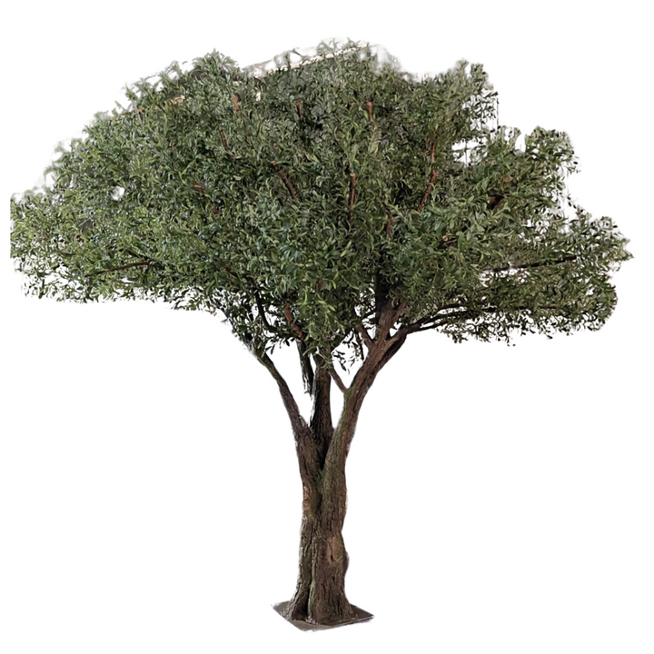 Árbol Olive 400CMS