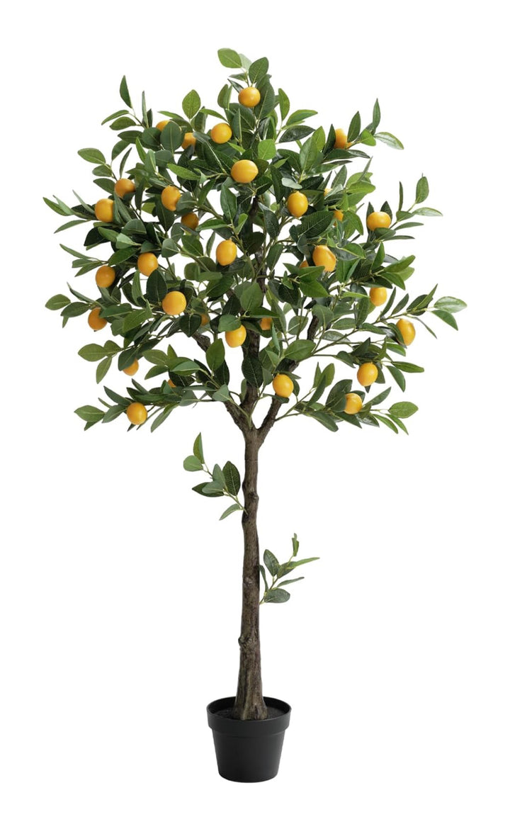 Arbol Limonero Joy 152 CMS