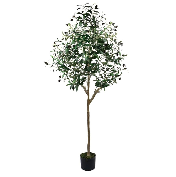 Árbol Decorativo Olive 152 CMS