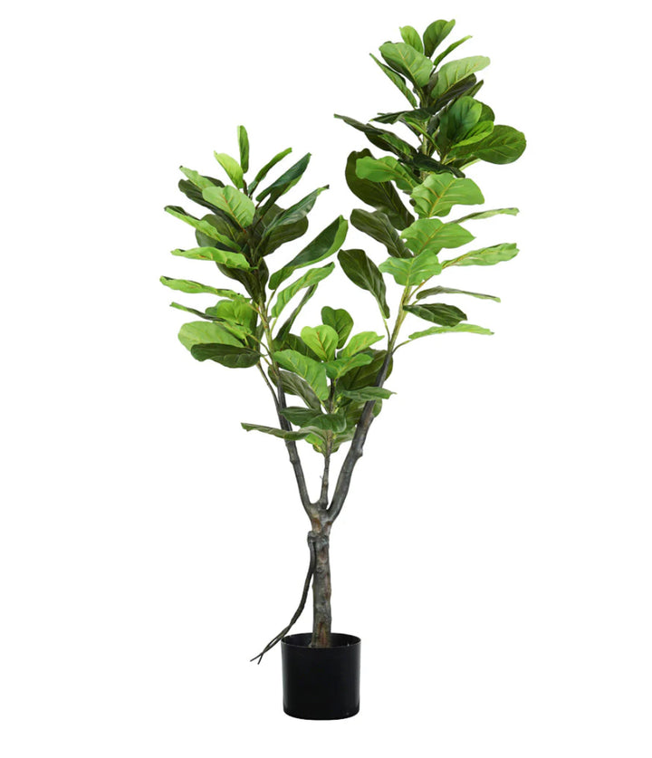 Planta decorativa fig 180 cms