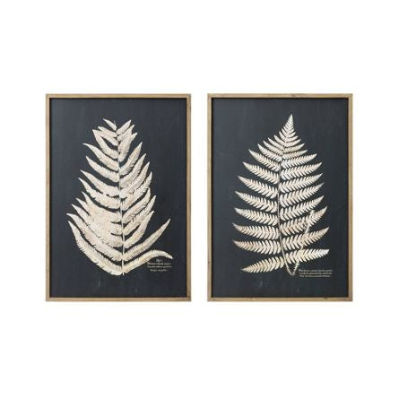 Set De Cuadros Decorativos “Fern”