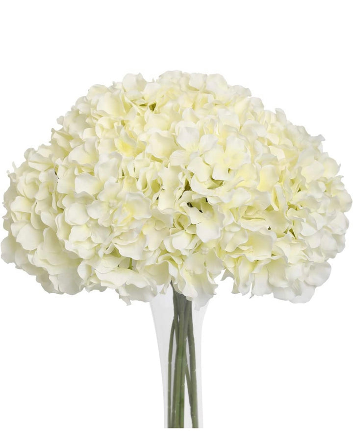 Set de 12 Hortensias ivory